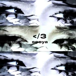 贵族女沦为官妓h呻吟H
