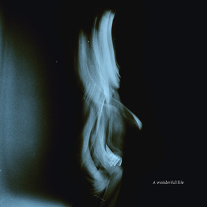 贵族女沦为官妓h呻吟H
